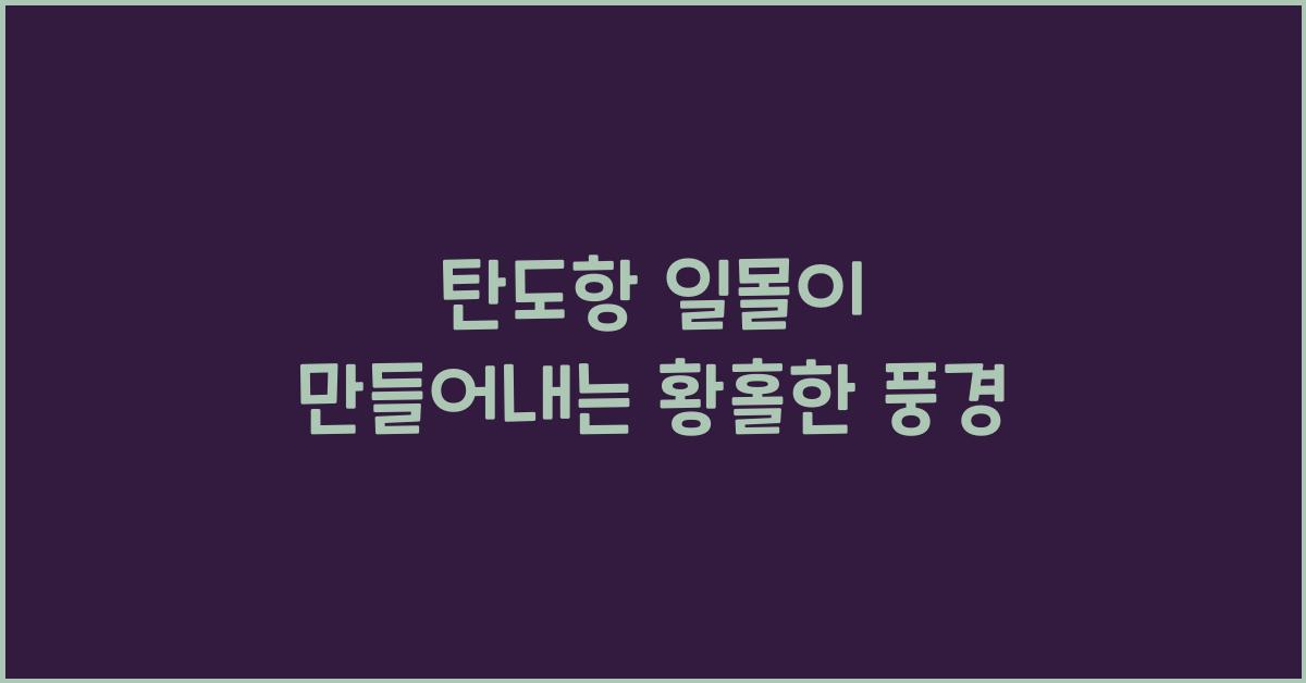 탄도항 일몰