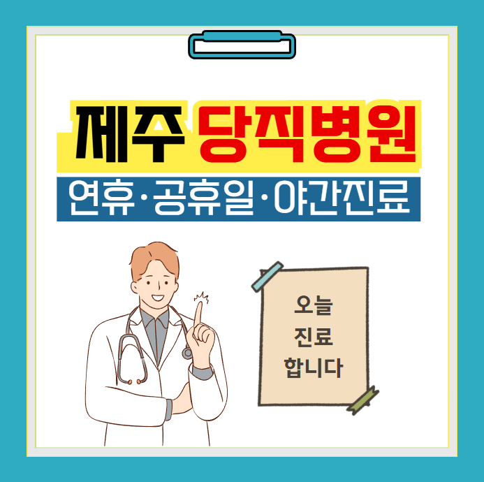 제주 당직병원 찾기