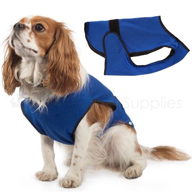 강아지 쿨링 조끼 이미지