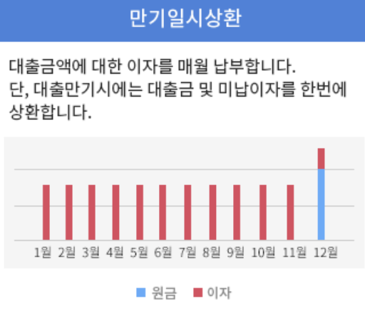 부산은행 새희망홀씨대출