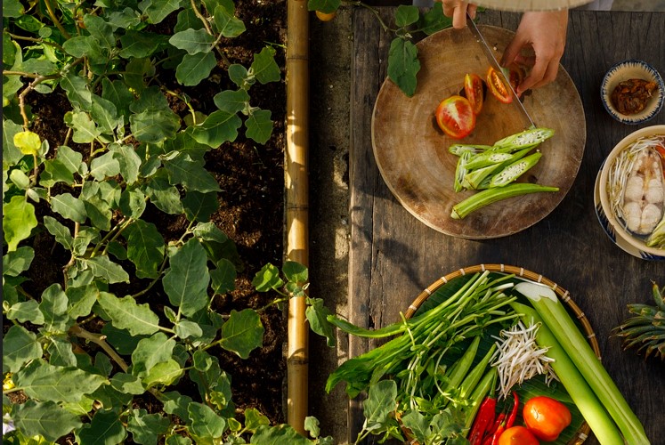사찰음식을 만들기 위해 평상위 도마에서 토마토를 썰고 있고, 바구니안에 각종 채소가 담겨있는 사진