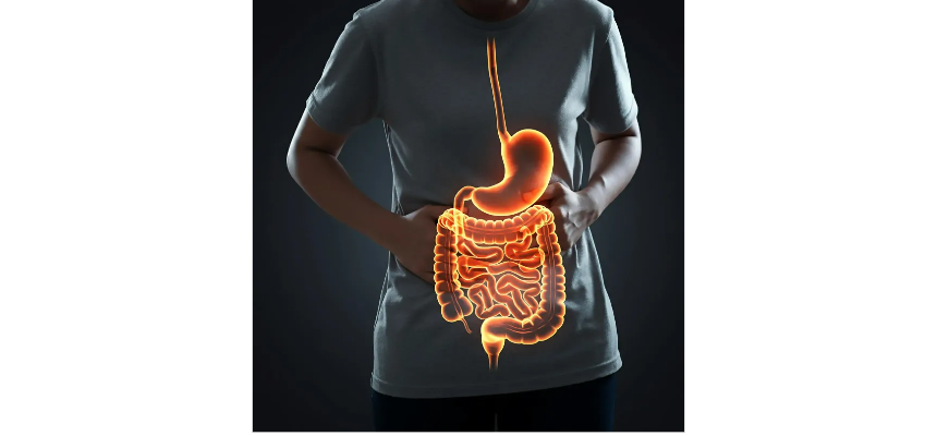 위장상피화 관련 이미지