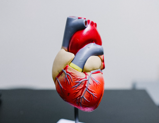 마그네슘 효능 : 심혈관