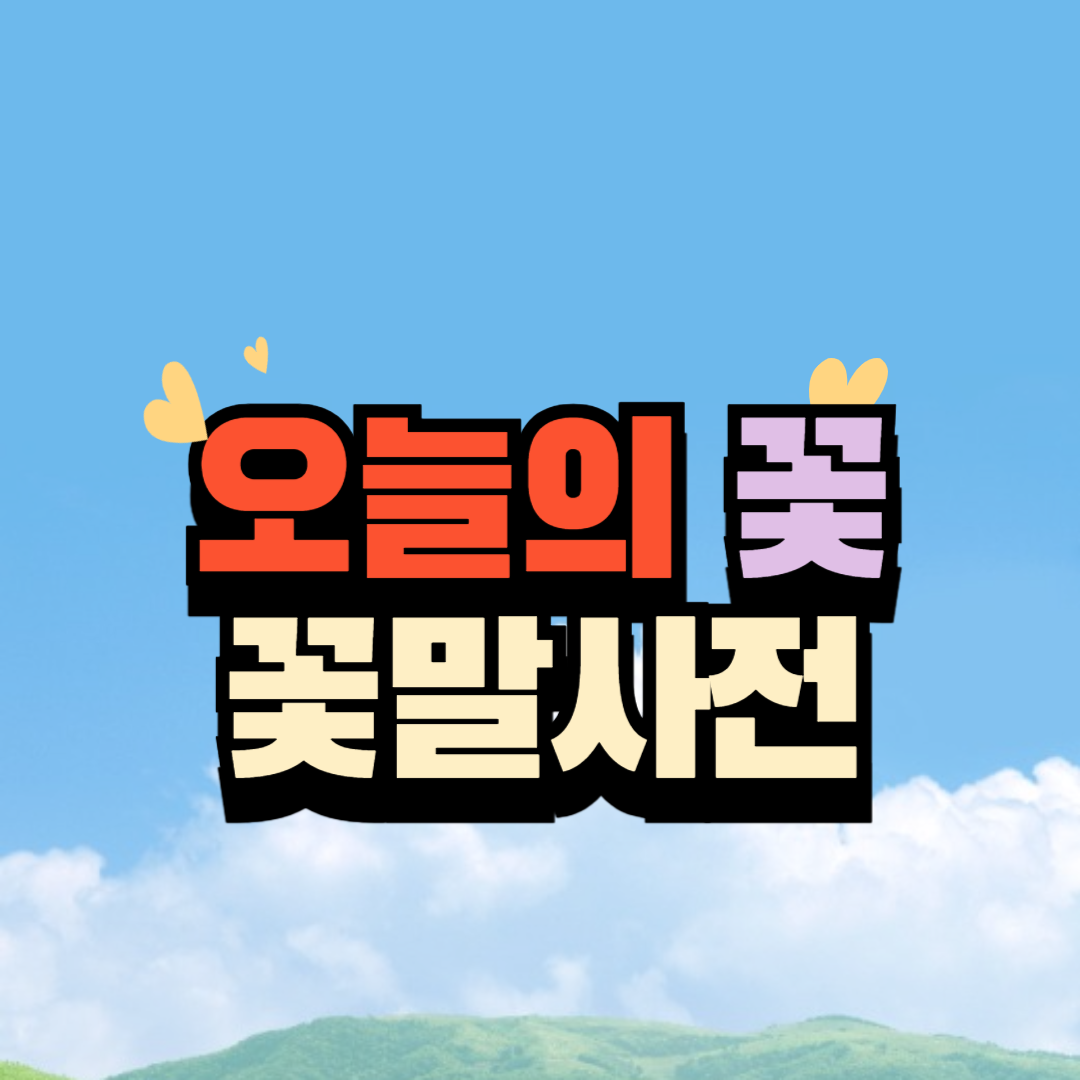 오늘의 꽃 꽃말 사전