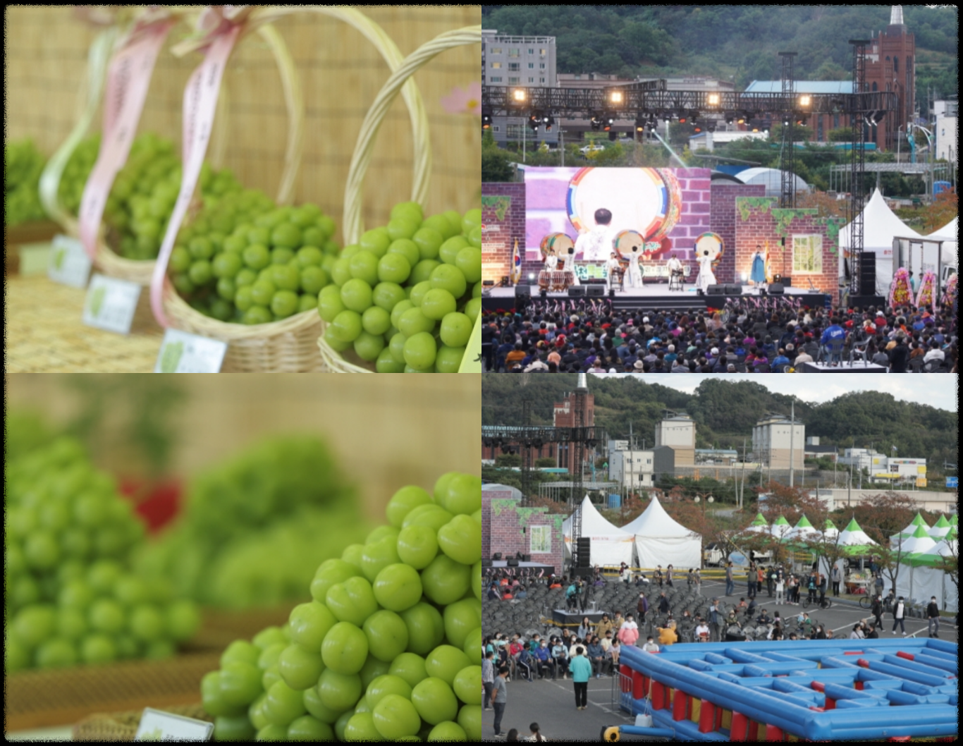 김천포도축제
