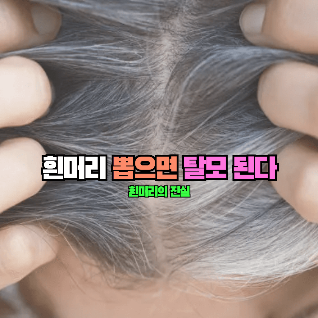 흰머리 뽑으면 탈모 된다?!