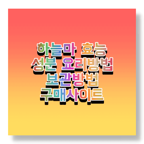 하늘마 정보