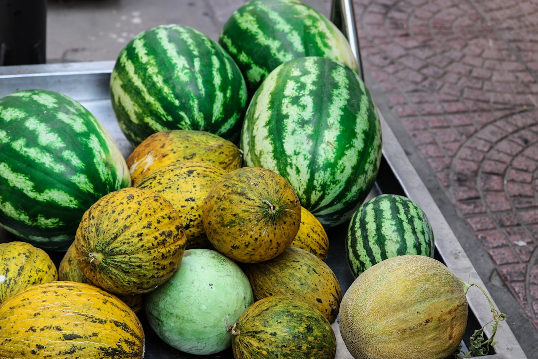 Melon