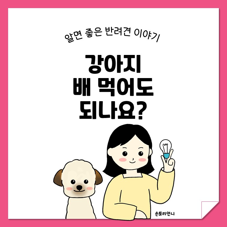 강아지 배 먹어도 되나요 제목 이미지