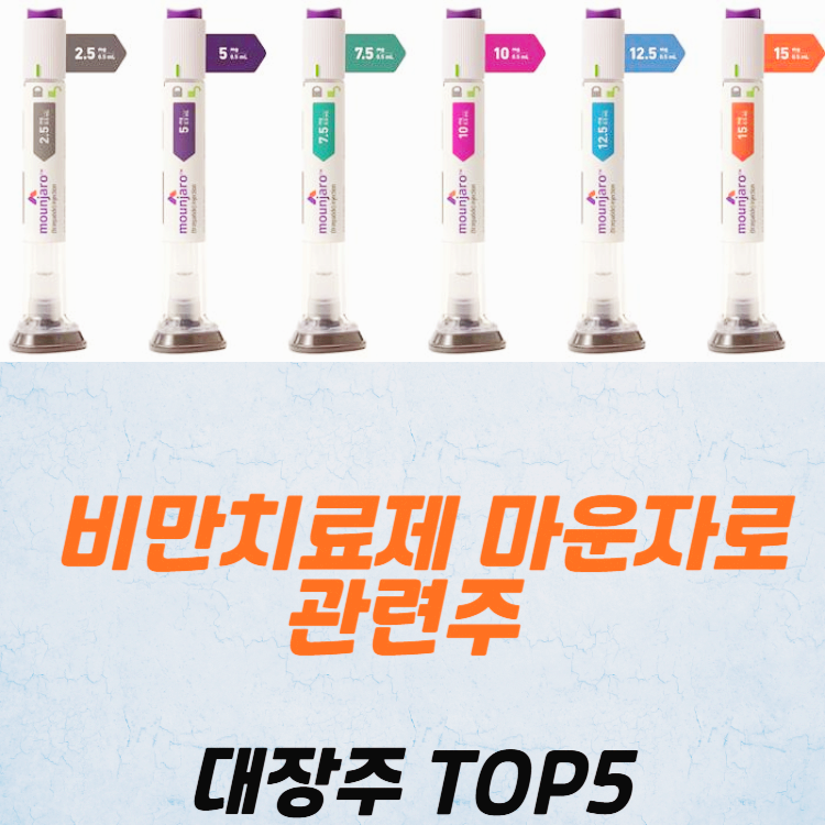 비만치료제 마운자로 관련주 대장주 테마주 TOP5