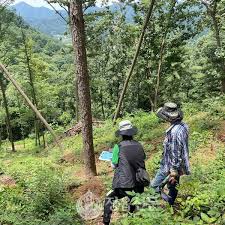 임업경영체 등록조건