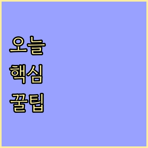 미국 입국 서류 ESTA 승무원 비자..