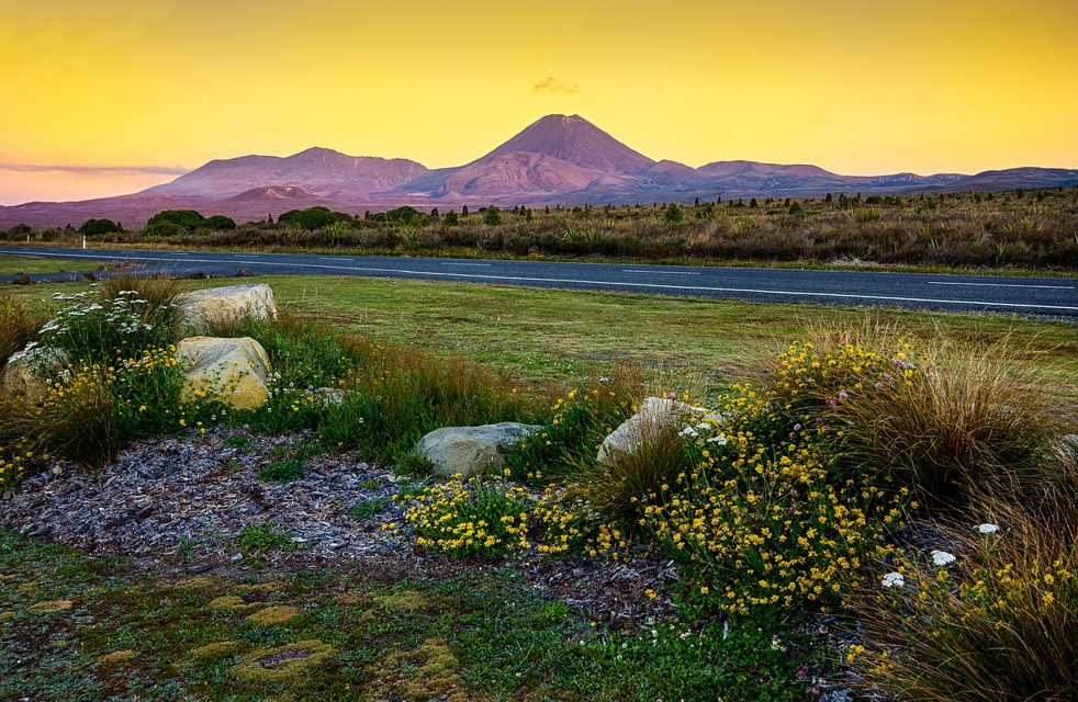 뉴질랜드 관련사진