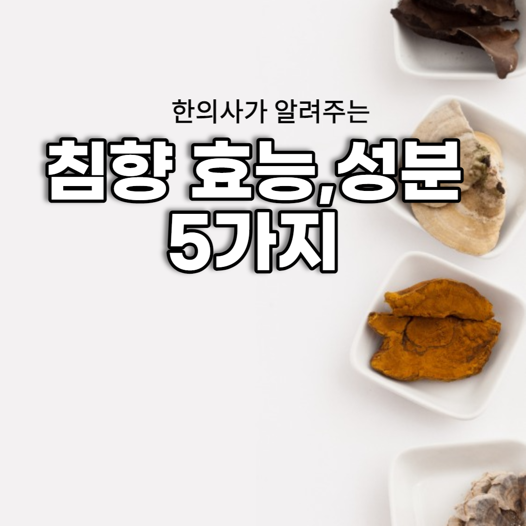 침향 효능