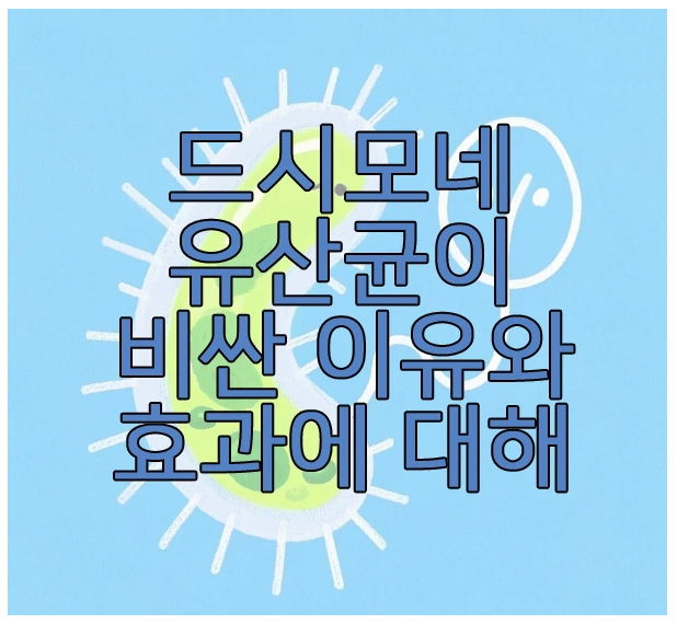 드시모네에 관한 글 보러 가기 링크 사진