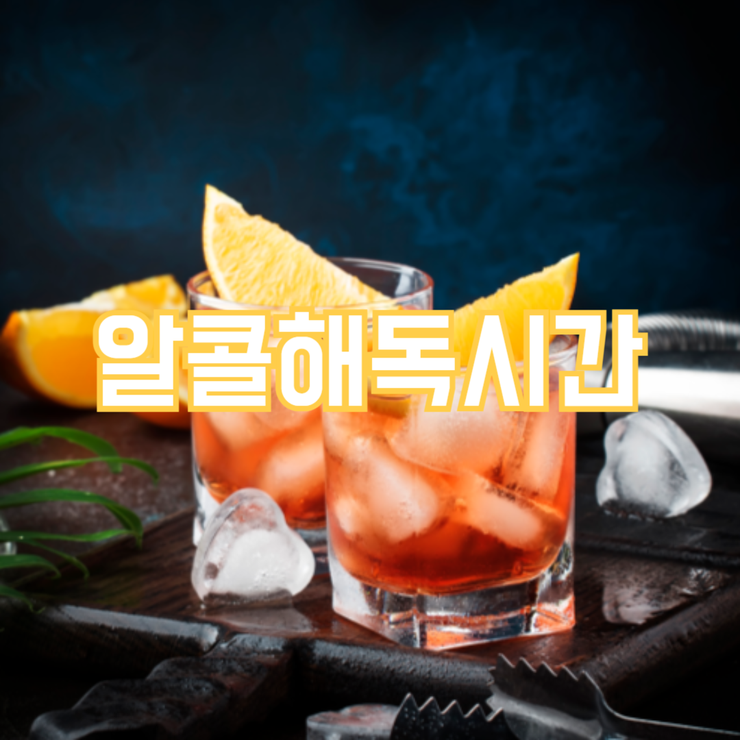 알콜 해독시간, 방법!