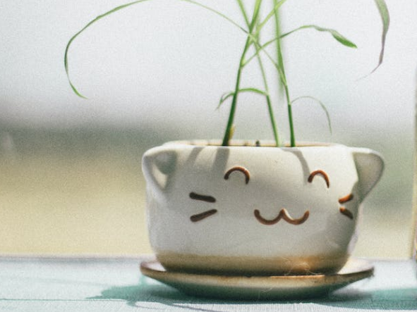 스트레스에 도움되는 미소