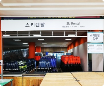 2025/2026 웰리힐리파크 스키장 시즌권 렌탈 할인 완벽 가이드