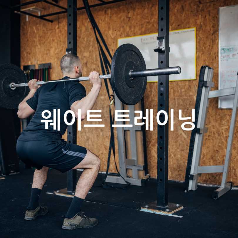 체중감량운동