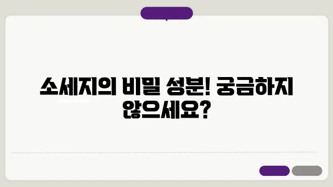 소세지 성분