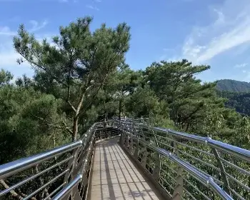 원주 소금산 그랜드밸리 출렁다리_14