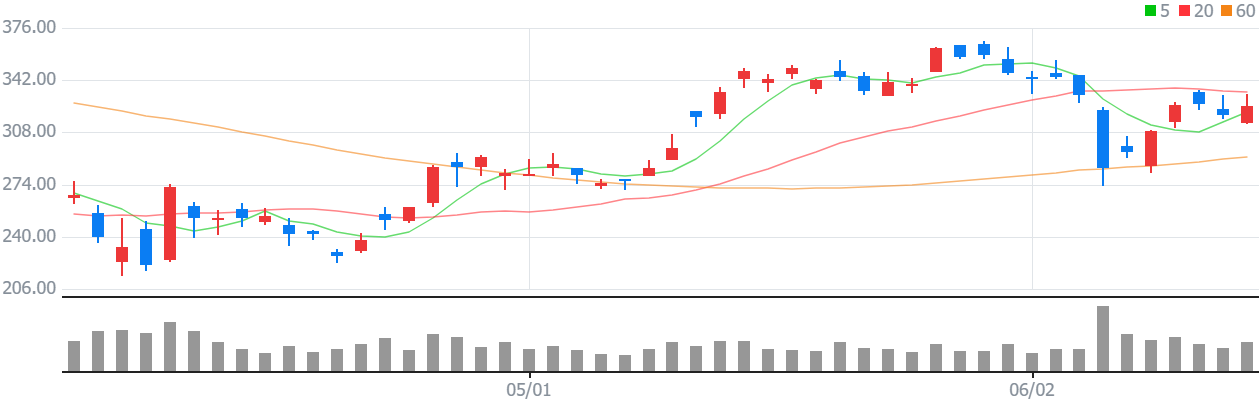 테슬라의 주가 일봉