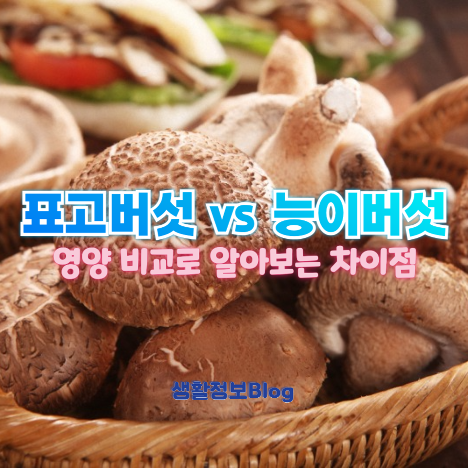 표고버섯 vs 능이버섯
