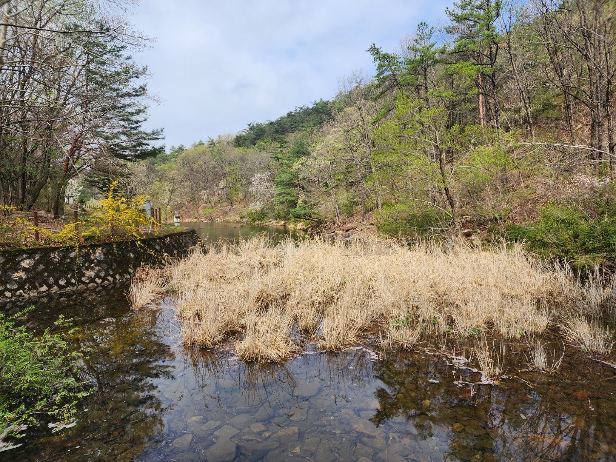안양 수목원 이미지 사진