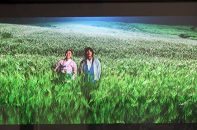 고창청보리밭축제