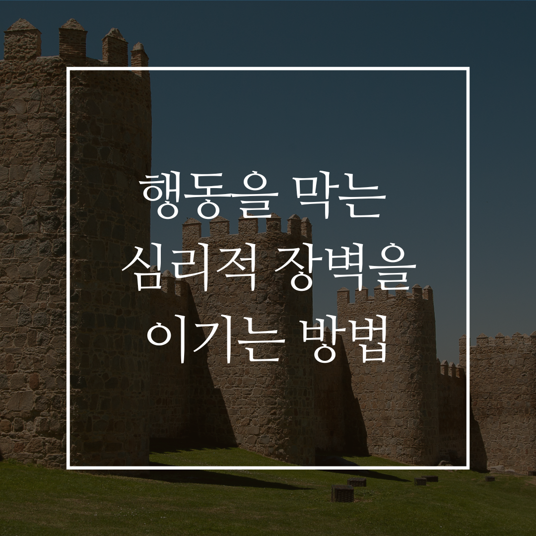 행동을 막는 심리적 장벽을 이기는 방법 커버