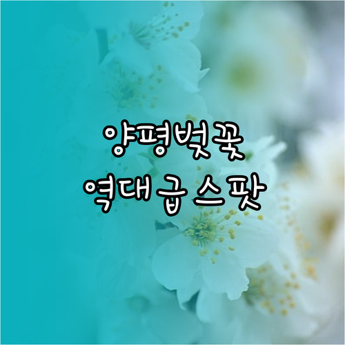 2026년 양평 벚꽃 명소 베스트 3..