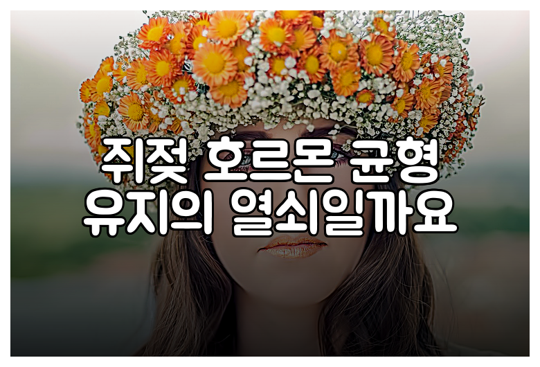 쥐젖 호르몬 균형 유지의 열쇠일까요
