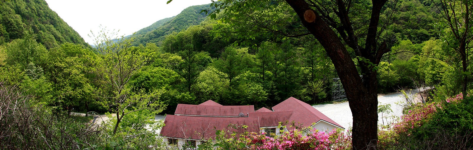 국립 운장산자연휴양림 예약