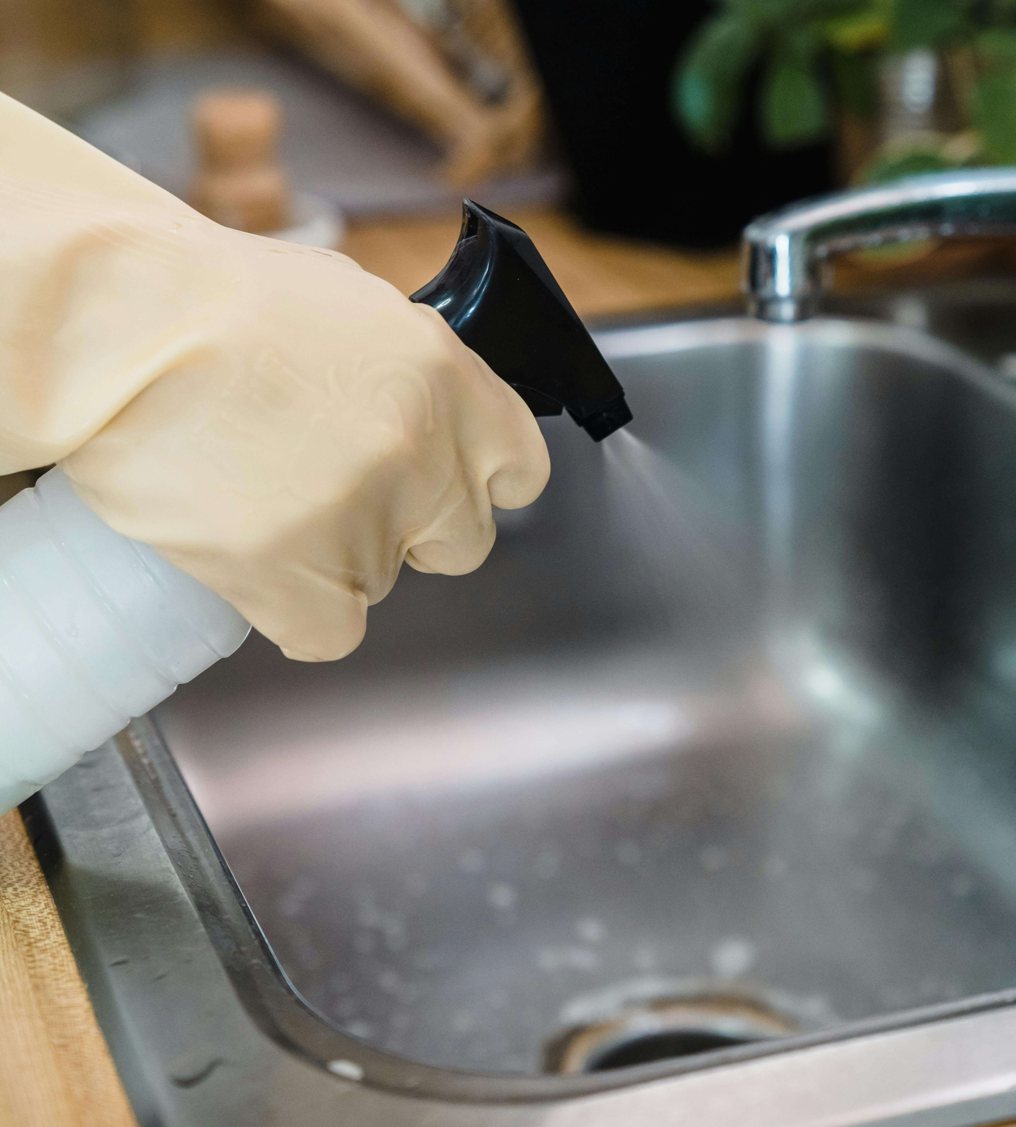 초파리 발생원인과 예방 및 퇴치방법(내돈내산 꿀팁까지)