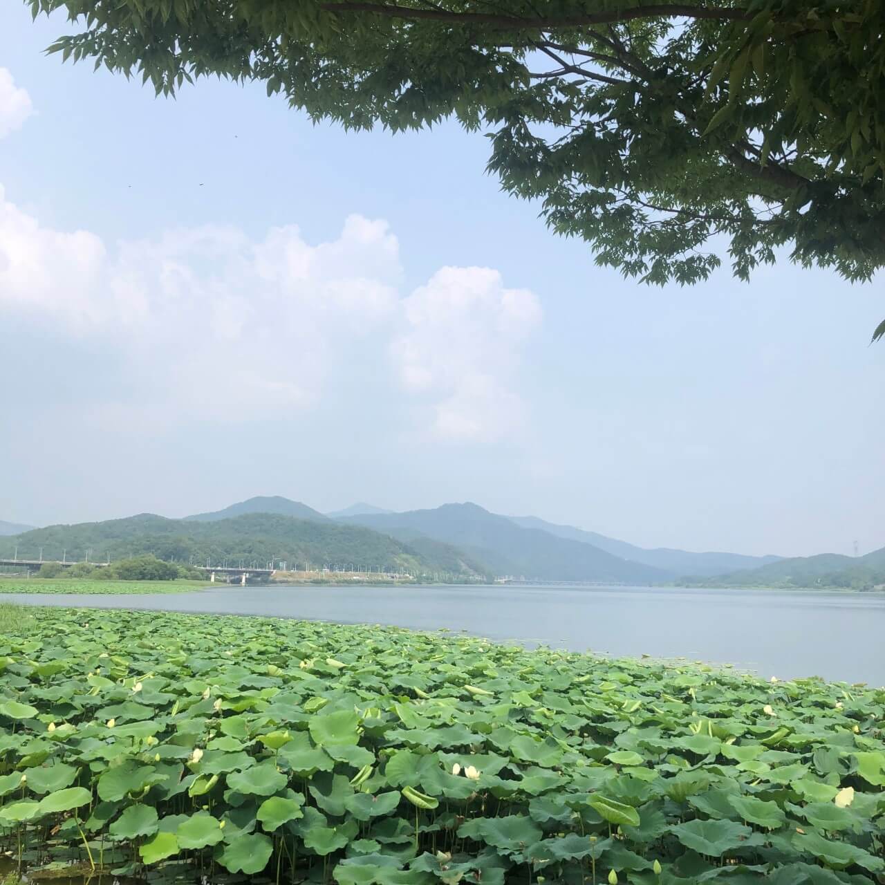 서울 근교 드라이브 코스