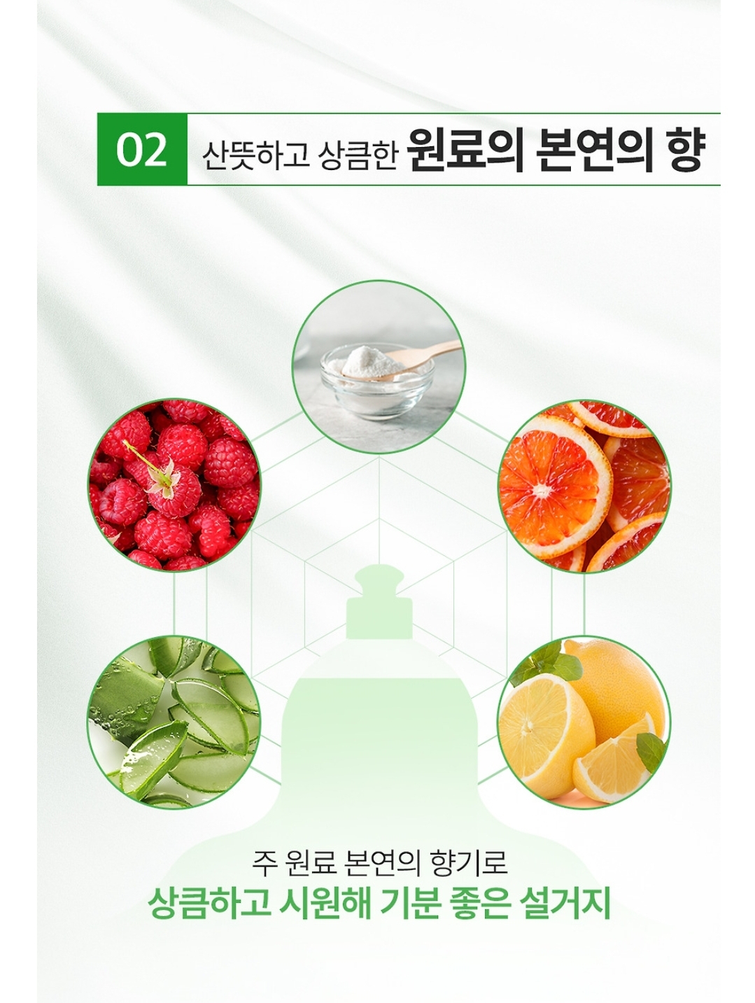 네고왕 프로쉬