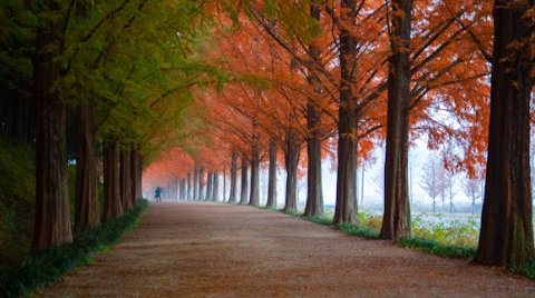 2040년 국토종합계획, 토지 투자의 미래를 바꾼다