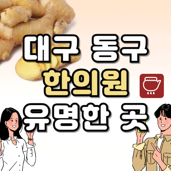 대구 동구 한의원 추천 TOP5 양심 한의원 유명한 곳