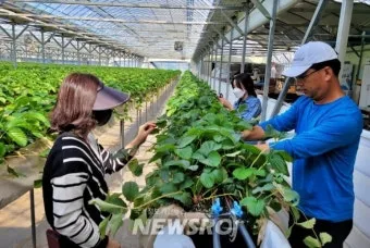 병해충 천적 활용 무당벌레 기생벌 끈끈이트랩 친환경 방제_3