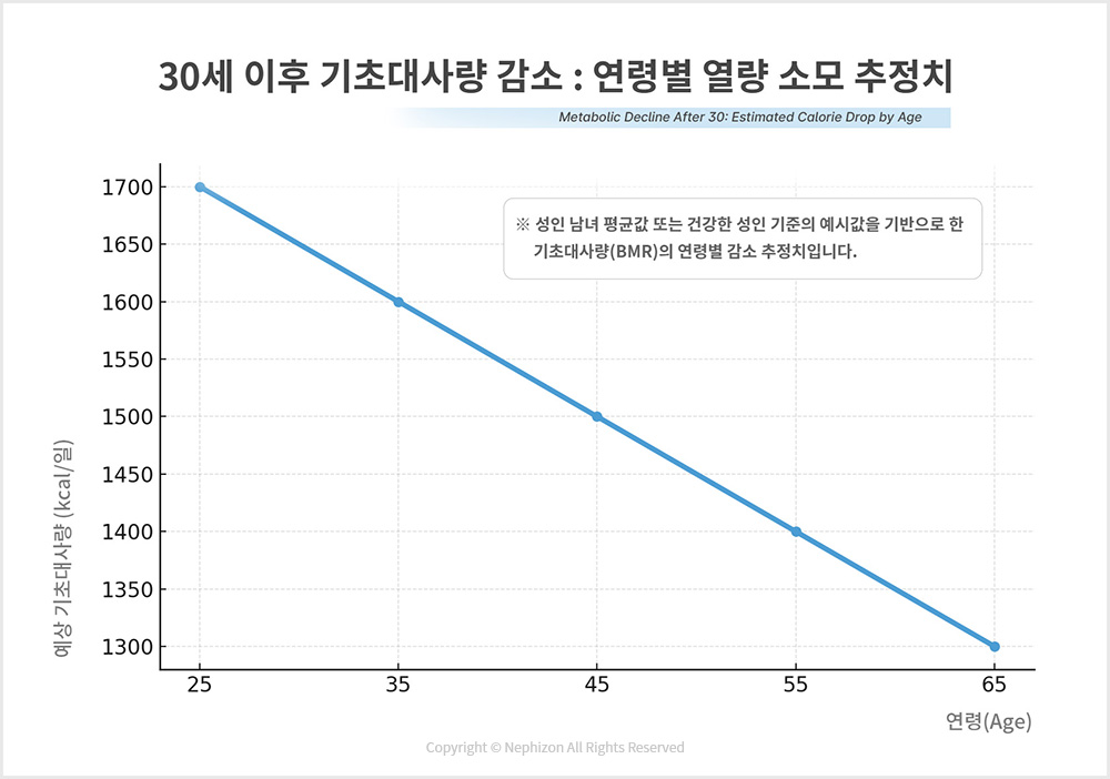 연령대별 기초대사량 감소 추이를 나타낸 그래프 이미지
