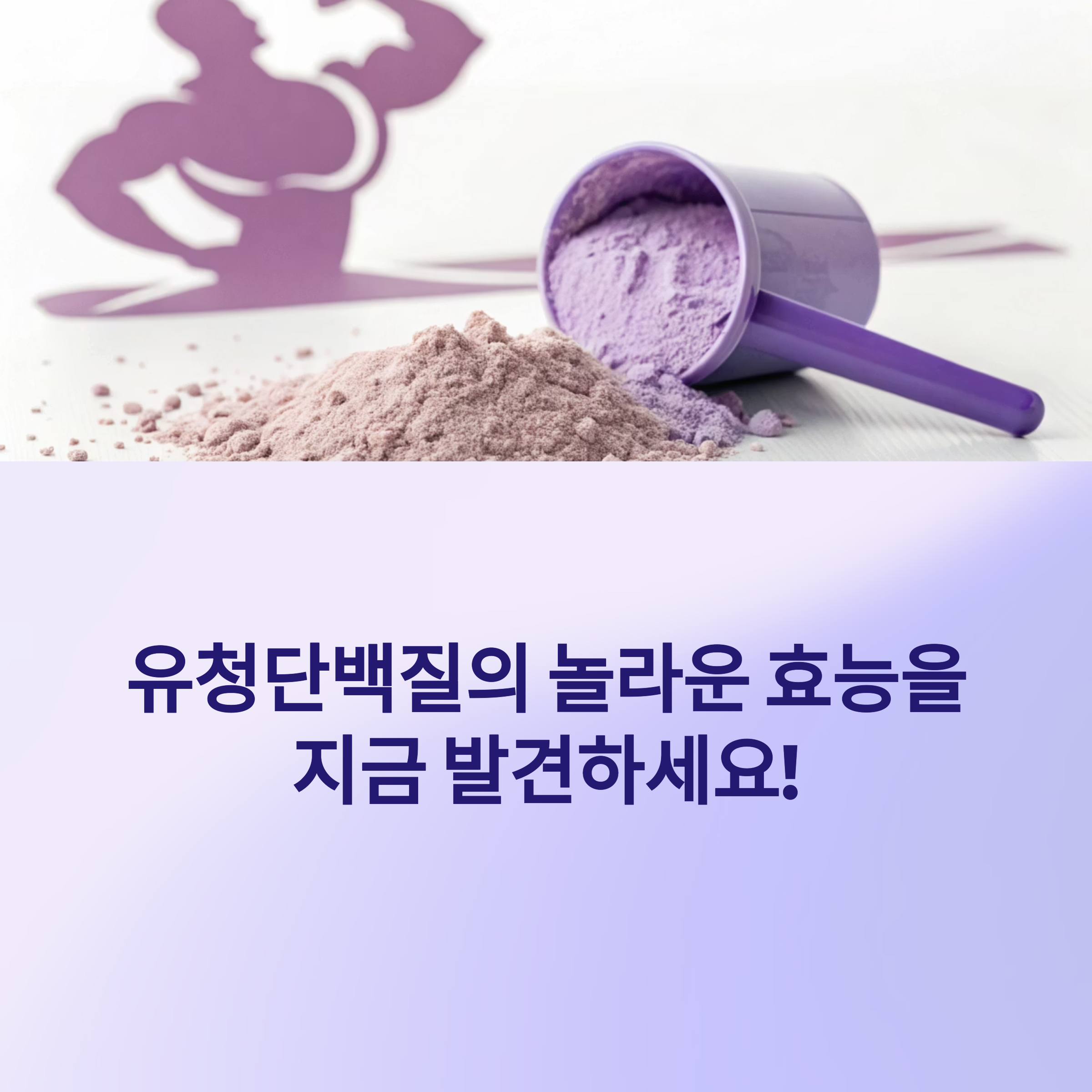 유청단백질 효능과 주의사항, 꼭 알아야 할 포인트