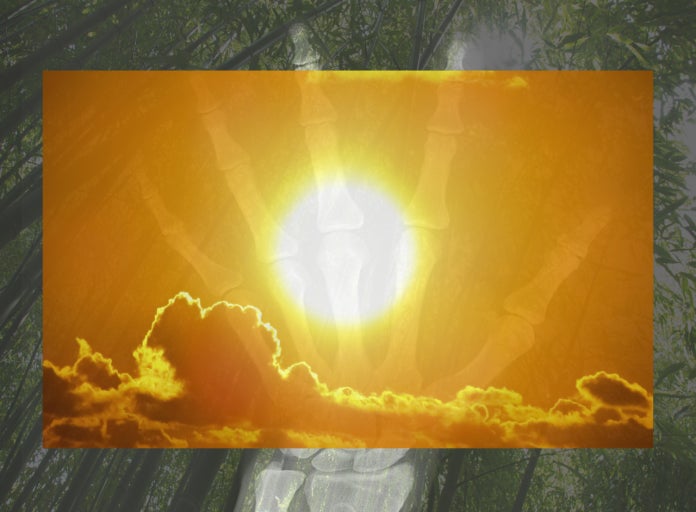 비타민D 부족 증상과 보충법 – 선크림 바르면 흡수 안 될까? 관련 사진