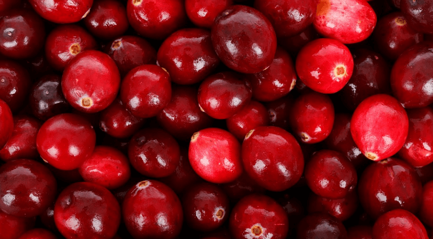 쌓여 있는 크랜 베리