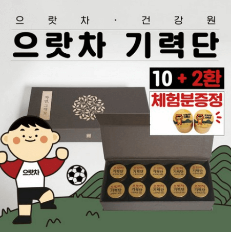 수험생 공진당 가격