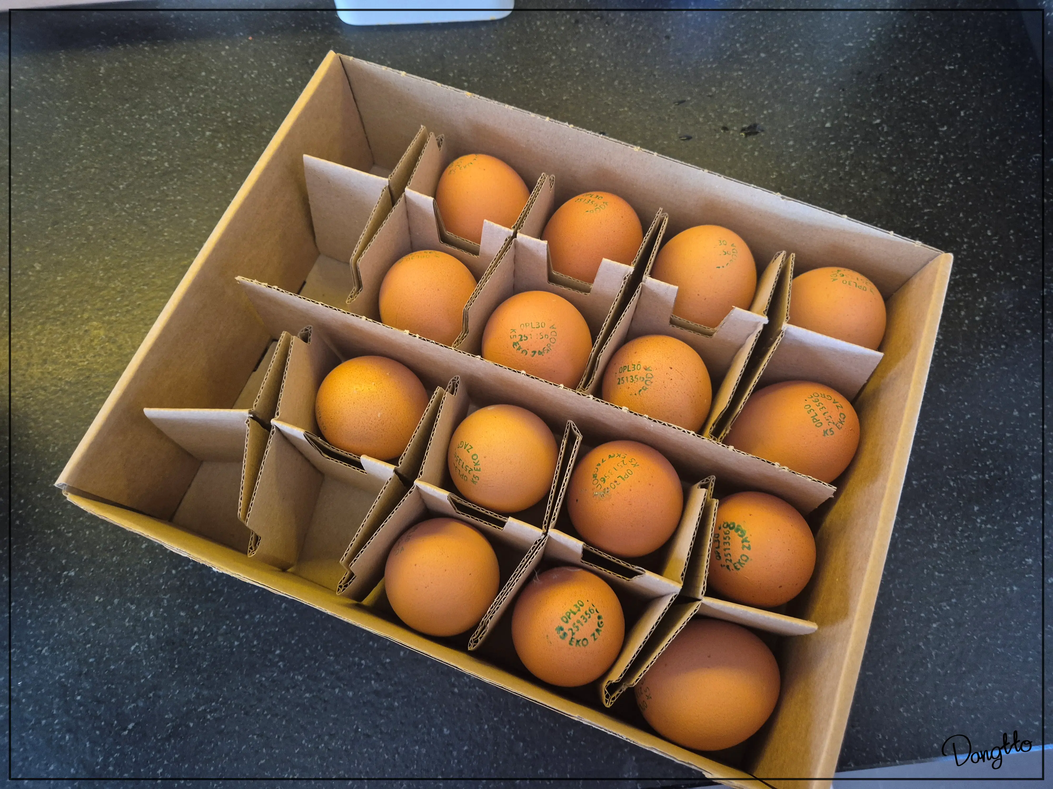 당뇨에-좋은-계란의-상세-사진