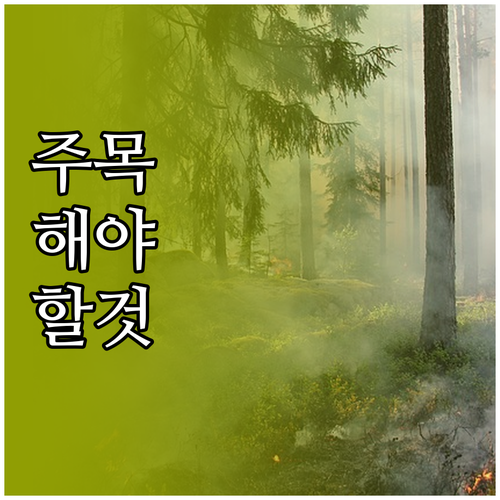 전설이 된 애니메이션 명장면 OST의..