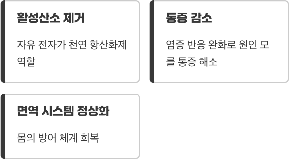 몸속 보이지 않는 불씨, 염증 다스리기