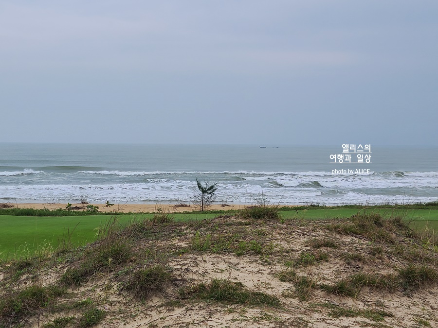 다낭 호이안 골프여행 호이아나 쇼어스 CC 이용정보 후기 골프장 추천