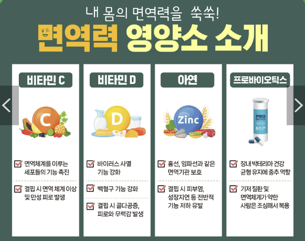 면역력을 높이는 음식 BEST10