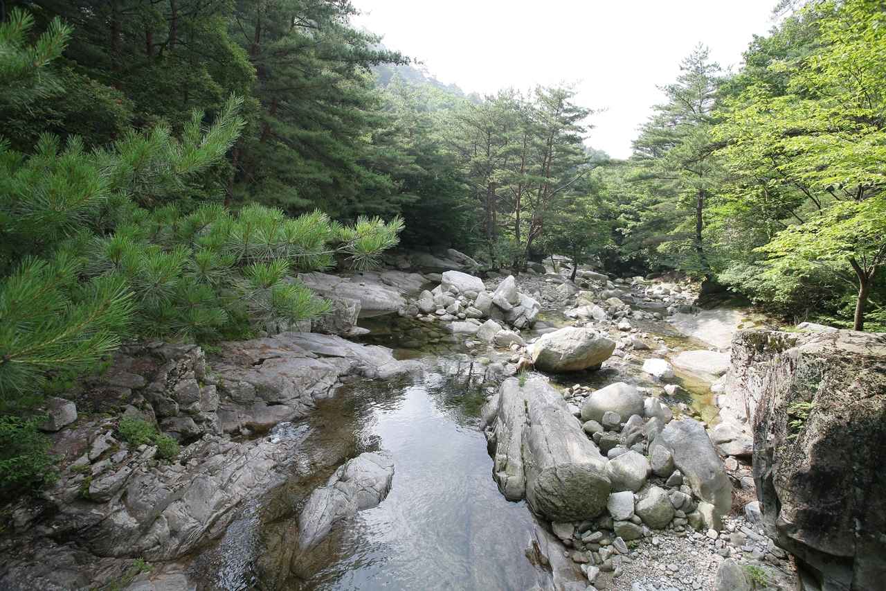 용추계곡